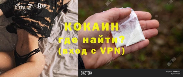 ешки Каменногорск