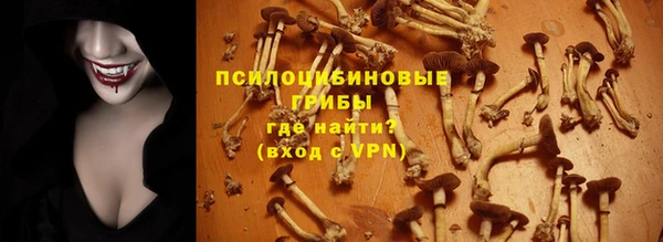 ешки Каменногорск