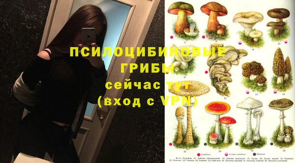 mdpv Каменка