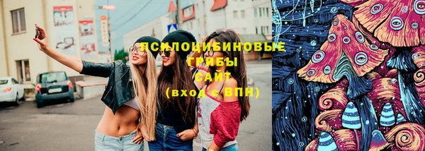 mdpv Каменка