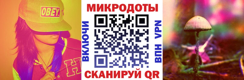 Псилоцибиновые грибы Psilocybine cubensis  Купить где  Мамоново 